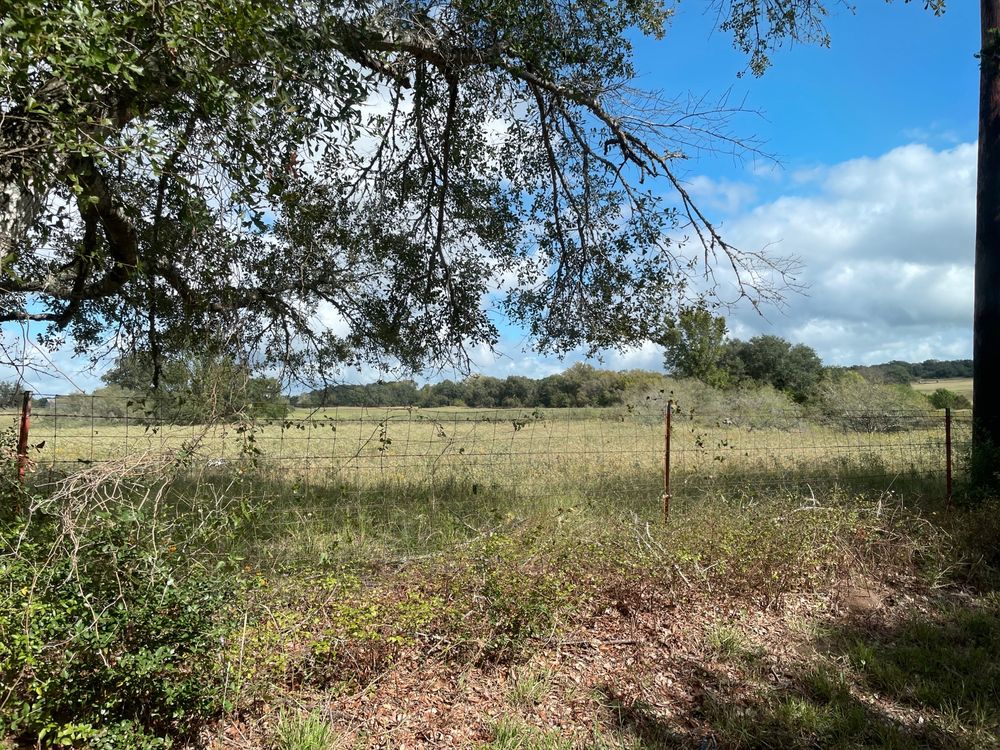 CHICKEN RANCH Updated August 2024 1629 2099 Rocky Creek Rd, La