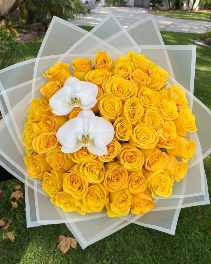 THE FLOWERS DIVENE Updated November 2024 100 Terraza San Carlos, La