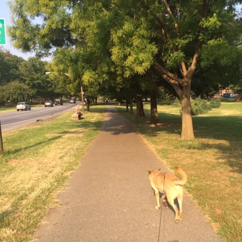 Pelham Parkway - Bailey enjoying the paved walkways - Parks Near Me - Bronx, New York