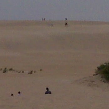 Jockey's Ridge State Park - Parks Near Me - Nags Head, North Carolina Jockey's Ridge State Park - Parks Near Me - Nags Head, North Carolina