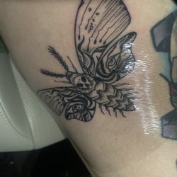 Death moth Halloween flash