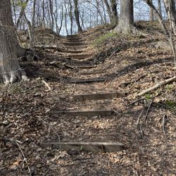 Alonzo F Bonsal Wildlife Preserve - Stairs on the side of a hill leading up