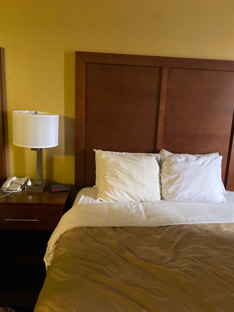 QUALITY INN & SUITES Updated June 2024 17 Photos & 14 Reviews