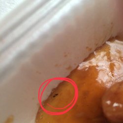 China Pantry - A roach in my food.