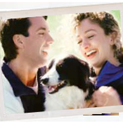 paws to remember pet cremation