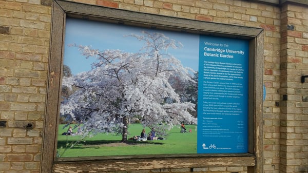 Cambridge University Botanic Garden by null