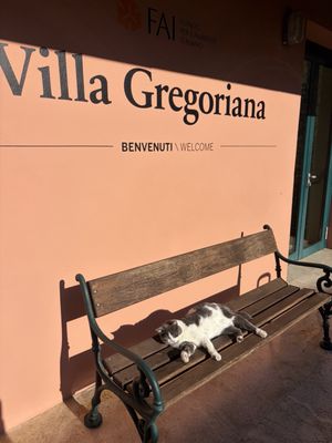 Villa Gregoriana by null