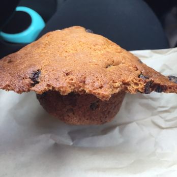 Ella Cafe - Chocolate chip muffin - Coffee & Tea Near Me - Plantation, Florida Ella Cafe - Chocolate chip muffin - Coffee & Tea Near Me - Plantation, Florida