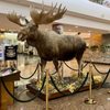 Ted Stevens Anchorage International Airport gift card