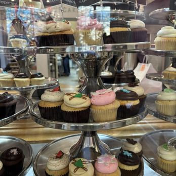 Georgetown Cupcake - December cupcakes - Bakeries Near Me - Bethesda, Maryland