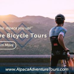 Alpaca Adventure Tours