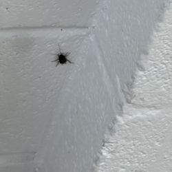 Academy of the Holy Cross - very cold bad wifi and scary bugs
