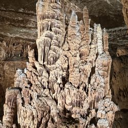 Blanchard Springs Caverns - Tell me what you see in this photo?