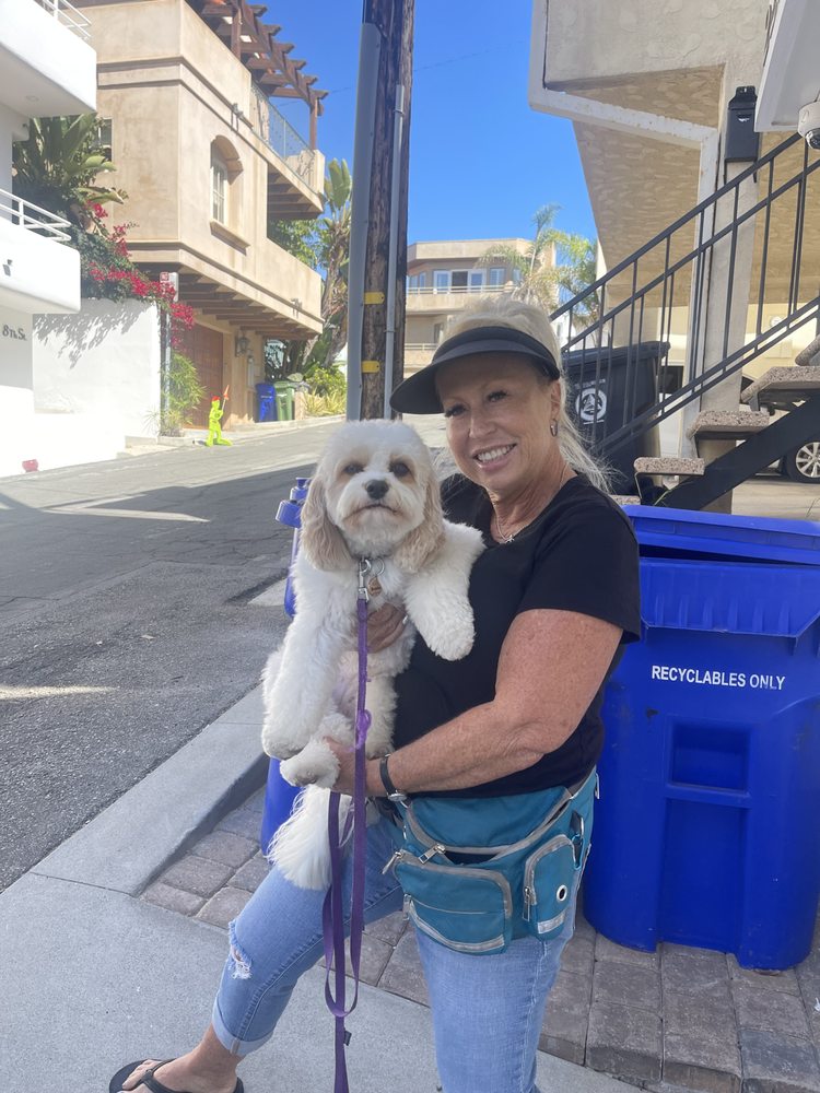 ANGELILLY PET CARE Lakewood, California Pet Training Phone Number