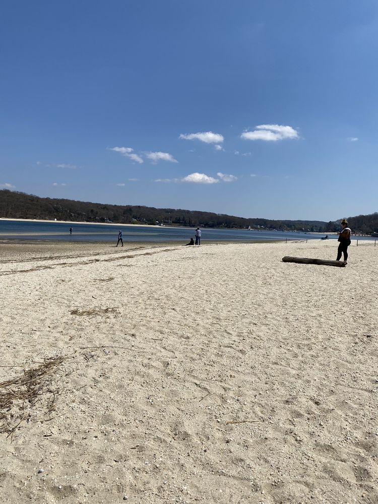 FLEETS COVE BEACH 257 Fleets Cove Rd, Centerport, New York Beaches