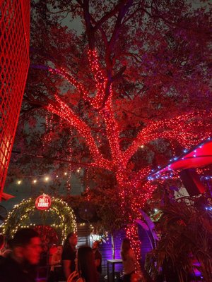 The Dirty Rabbit Wynwood by null