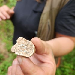 Truffle Hunter - White Truffle