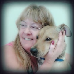 Shay's Strays Animal Rescue