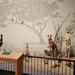 Great Plains Zoo & Delbridge Museum of Natural History