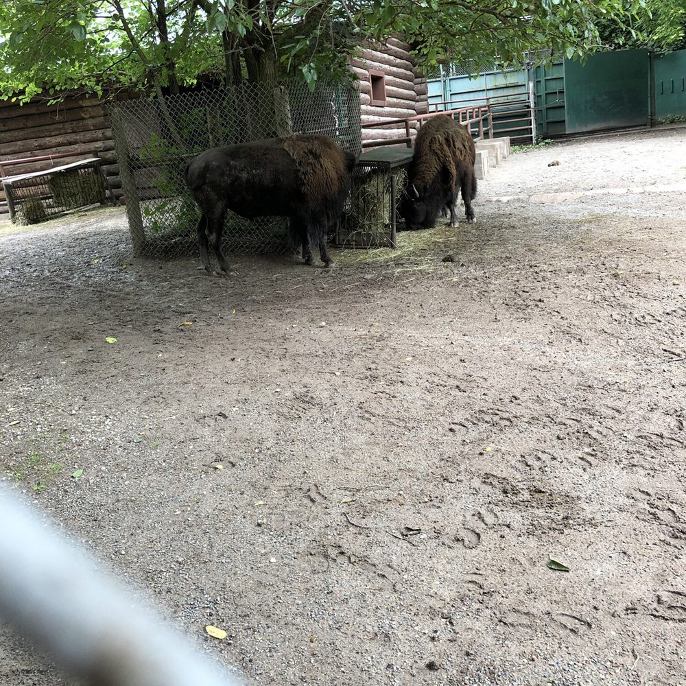 High Park Zoo - Zoos Near Me - Toronto, Ontario High Park Zoo - Zoos Near Me - Toronto, Ontario