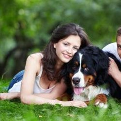 Purr-Furred Pet Care - Purr-Furred Pet Care LLC