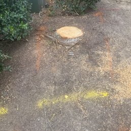 Sent these to the sales guy, but they were never sent to the stump-grinder