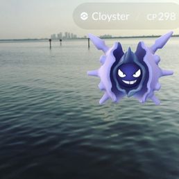 View from the pier