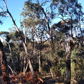 Belair National Park - Park - Parks Near Me - Belair, SA