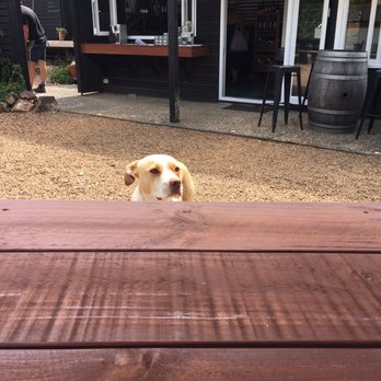 Te Motu Vineyard - Wine Tasting Room Near Me - Waiheke Island, AUK