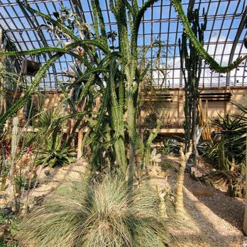 Garfield Park Conservatory - Parks Near Me - Chicago, Illinois