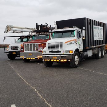 Nolan Tree - Our trucks - Tree Services Near Me - East Meadow, New York