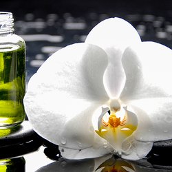 Camellia Massage