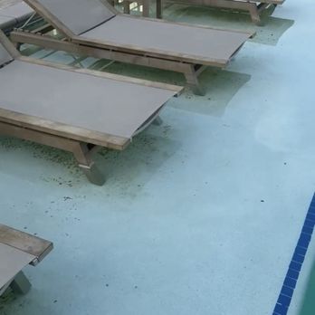 The Mark at Chatham - Pool full of mold, been this way for months now - Apartments Near Me - Savannah, Georgia