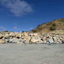 torrey likes beach rocks and squirrels
