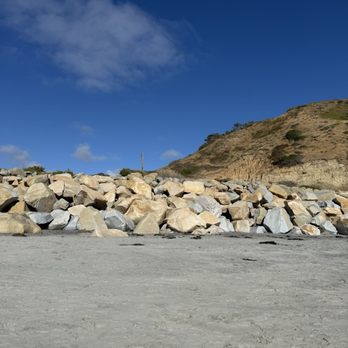 Torrey Pines State Reserve - torrey likes beach rocks and squirrels - Parks Near Me - La Jolla, California