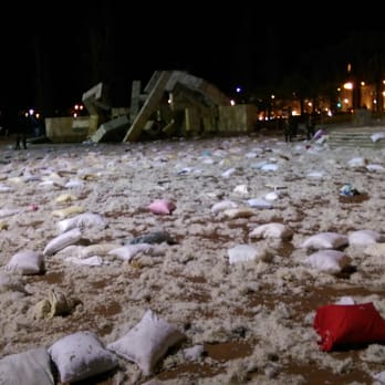 San Francisco Pillow Fight Club 175 Foton 145 Recensioner
