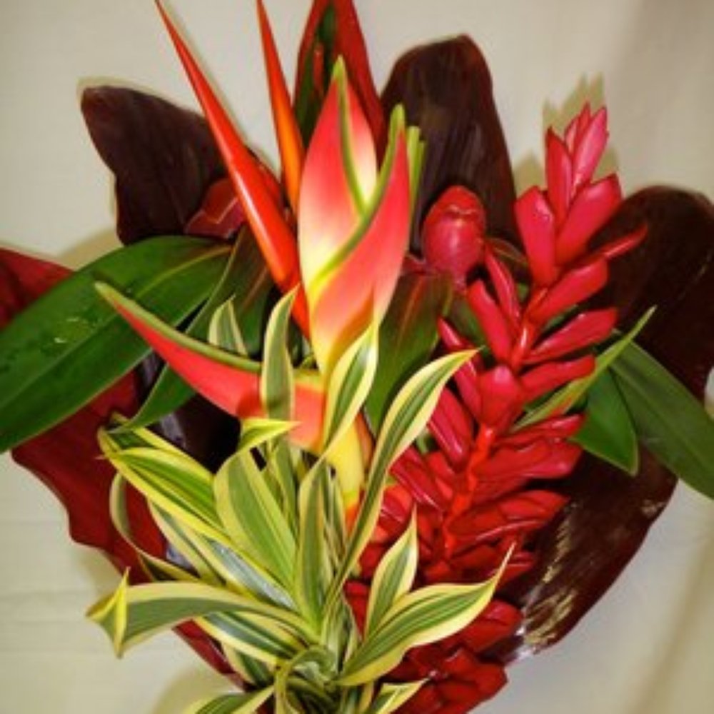 Mrs Flowers Kauai Home Alqu