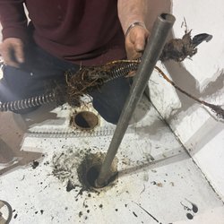 Weil Plumbing - The roots removed from our sewer line that were blocking the water flow!