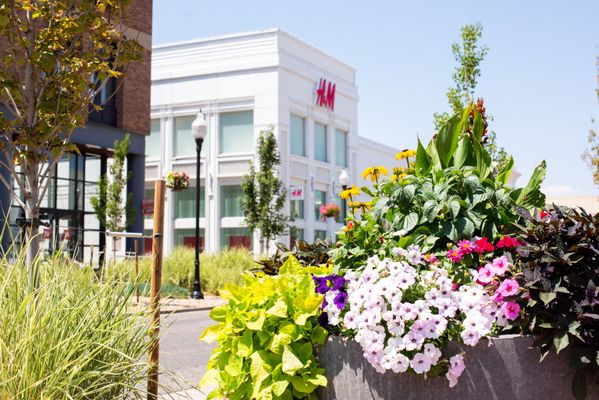 The Shops At Northfield by null