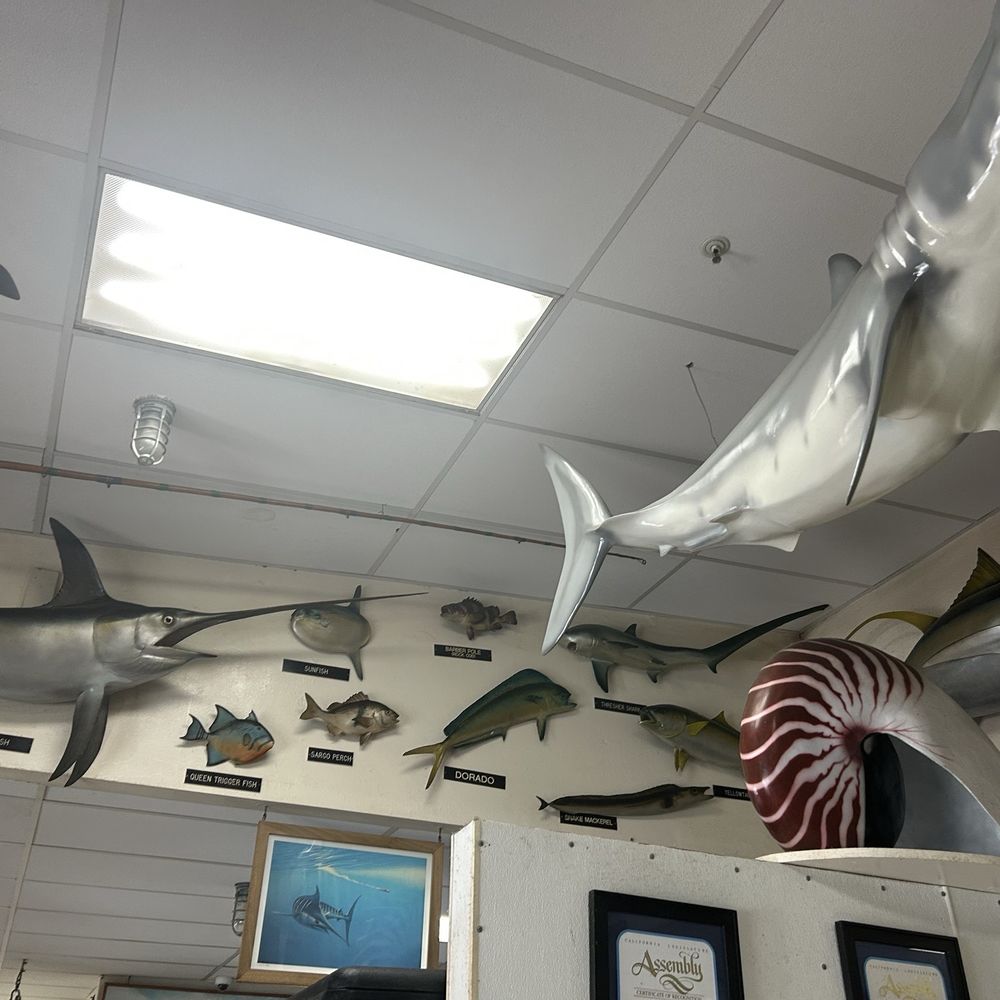 Harbor Fish & Chips - Fish & Chips Near Me - Oceanside, California Harbor Fish & Chips - Fish & Chips Near Me - Oceanside, California