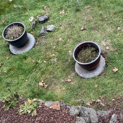 Dano's Septic Tank Pumping - Our septic covers