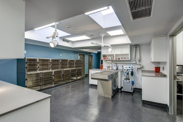 alameda vet hospital