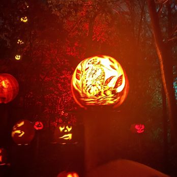 Jack-O-Lantern Spectacular - Zoos Near Me - Apple Valley, Minnesota