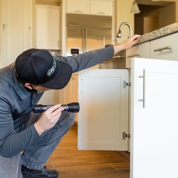All Clear Pest Control - Pest Control Near Me - Queen Creek, Arizona All Clear Pest Control - Pest Control Near Me - Queen Creek, Arizona