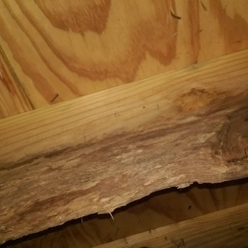 Solid Ground Home Inspections - Home Inspectors Near Me