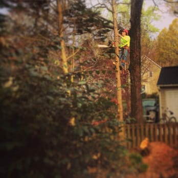 Amigo Tree Service - Tree Services Near Me