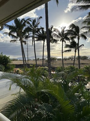 Pineapple Inn Maui by null
