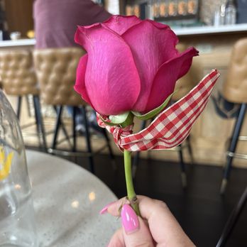 Yuca By Cedar - Breakfast & Brunch Near Me - Bellevue, Kentucky Yuca By Cedar - Breakfast & Brunch Near Me - Bellevue, Kentucky