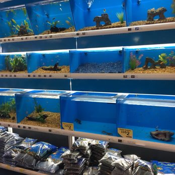 Pet Supermarket - Pet Stores Near Me - Miami, Florida Pet Supermarket - Pet Stores Near Me - Miami, Florida