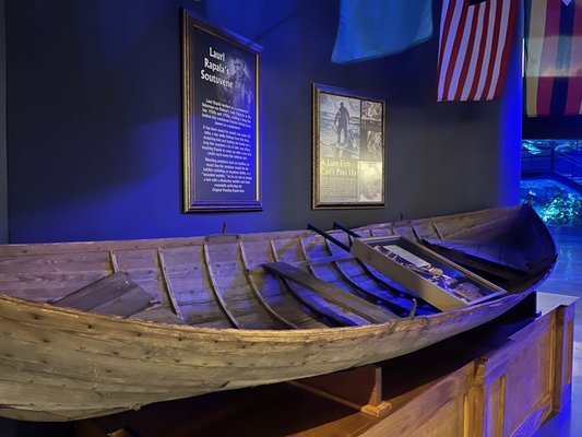 Wonders Of Wildlife National Museum & Aquarium by null